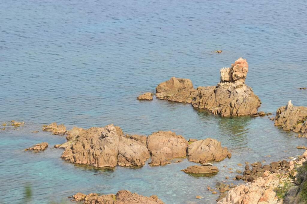 Ajaccio Splendide Vue Mer Dış mekan fotoğraf